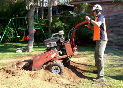 STUMP GRINDING SYDNEY NORTHERN BEACHES