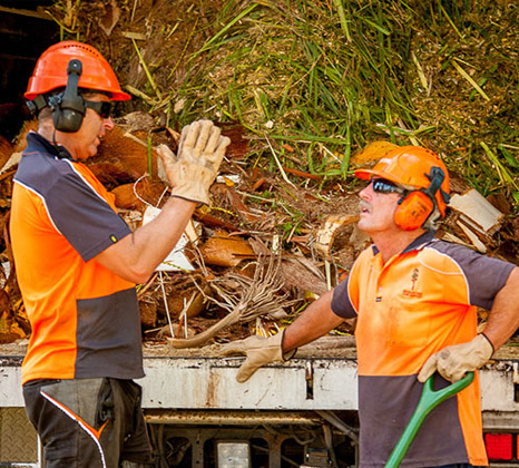 Best Arborist on the Northern Beaches, Damian Westall discussing work with a colleague