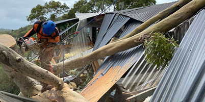 One of the best Northern Beaches, NSW arborists carefully removing a tree that has fallen on a house during a storm