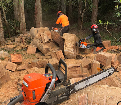 Tree Mulching & Wood Chipping Services