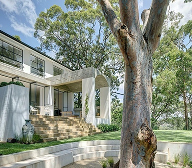 Tree pruning in back yard of house in Avalon, Northern beaches NSW