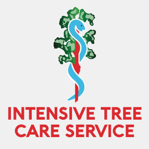 Intensive Tree Care Service Company Logo