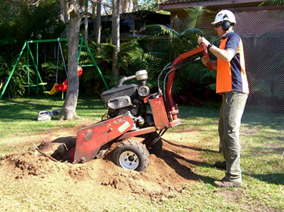 An experienced Northern Beaches Arborist grinding a stump with a stump grinder