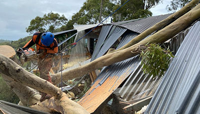 One of the best Northern Beaches, NSW arborists carefully removing a tree that has fallen on a house during a storm